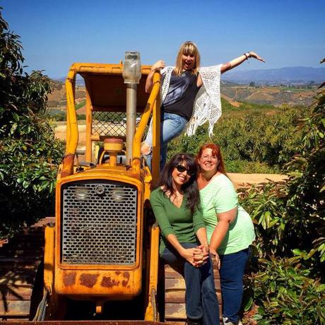 bulldozer and food bloggers