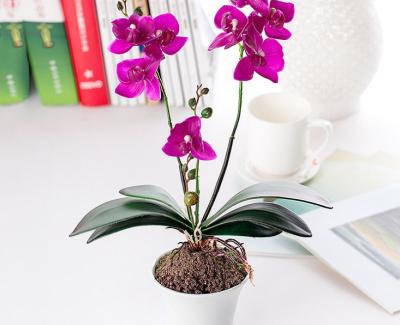 Home Office Decoration Ideas - potted flower