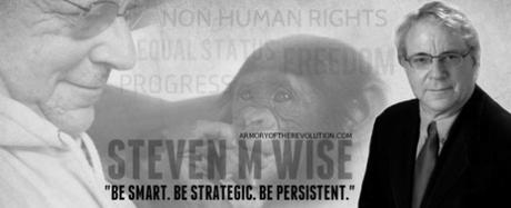 Species and Class Interviews Steven M Wise, The Foremost Animal Rights Activist In The World