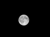 Blue Moon (August 2015)