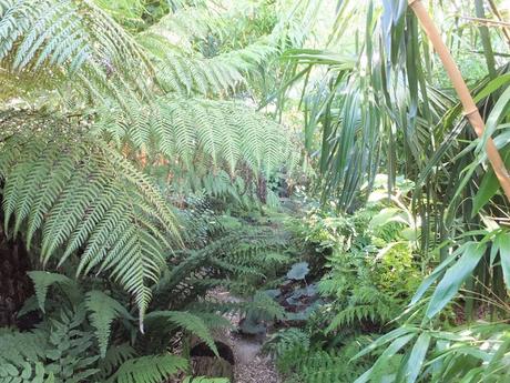 How Tidy Should a Jungle Garden Be?
