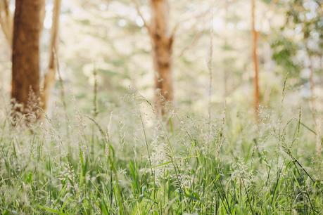 3 Doses of Sweet Elopement (or wedding) Inspiration with Patina Photography