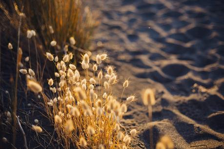 3 Doses of Sweet Elopement (or wedding) Inspiration with Patina Photography