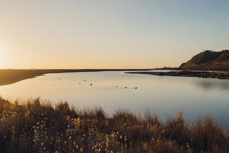 3 Doses of Sweet Elopement (or wedding) Inspiration with Patina Photography