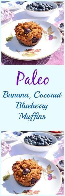 Paleo Banana Coconut Blueberry Muffins (SCD, GAPS, Gluten Free, Nut Free)
