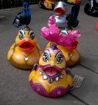 Quacky Races