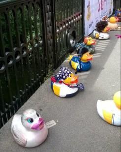 Quacky Races