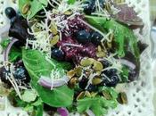 Leafy Green Salad with Blueberries Blueberry Basil Vinaigrette