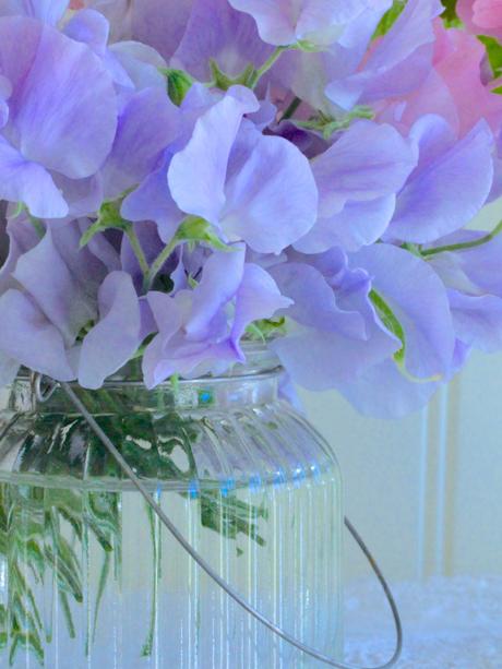 Lavender-Sweet-Peas