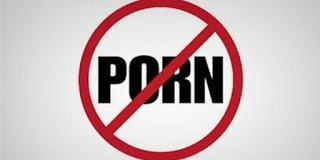 Porn Ban: An Alternate Solution