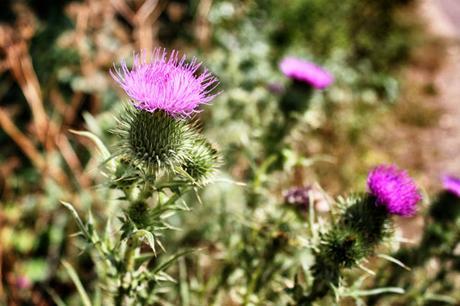 The Editor's #TubeStrike Diary