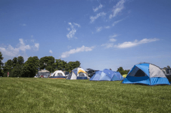 Boots and Hearts Burls Creek Camping WayHome