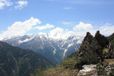 Taken in June of 2015 in Great Himalayan National Park