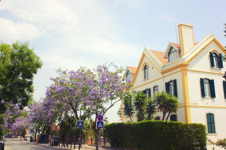 Photo Diary From Portugal Photo Diary of Portugal - Estoril