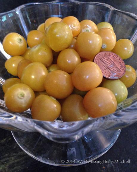 ground cherries physalis fruits in bowl