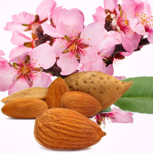 Almond Fragrance