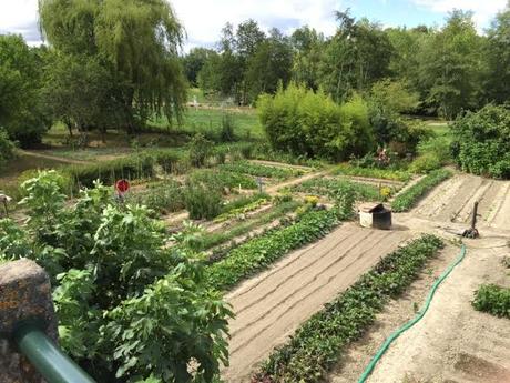  Immaculate allotments