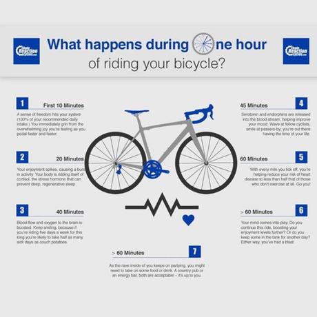 An hour timeline of what happens when you ride your bike