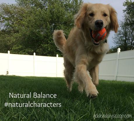 Hitting the Road with Natural Balance #NaturalCharacters