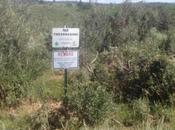 Utah Sands Resistance