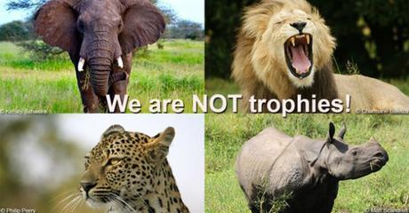 Wildlife Weekly Wrap-Up