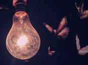 Energy-saving Street Lights Might News Bugs Conservation