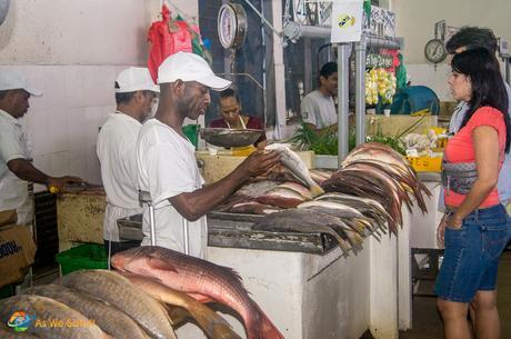 Fish Market in Panama City