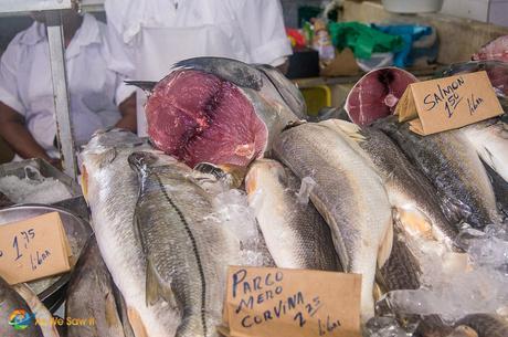 Snook (Robalo) is offered among many fish types.