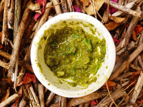 fresh coconut and coriander chutney