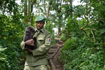 Virunga