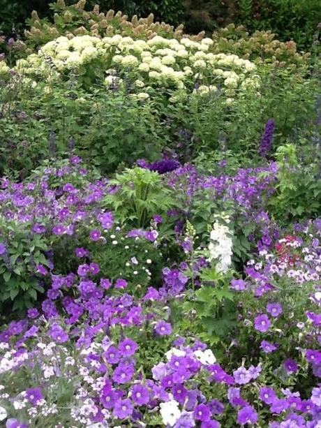 cool garden border