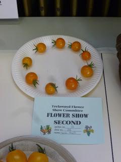 And I'm Off ..... The Trelawnyd Flower Show