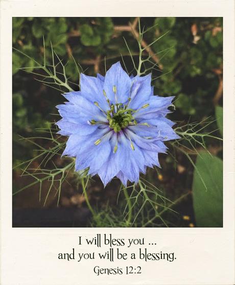 I will bless you ...