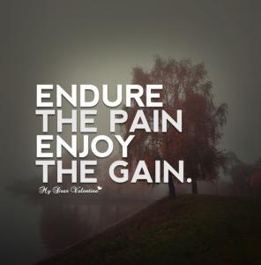 no pain no gain, S.C. Rhyne, pain is gain, exercise meme, inspiration, Sabrien Collins