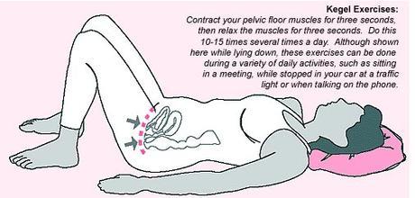 Kegel Exercise Weights Strengthen Your Pelvic Floor