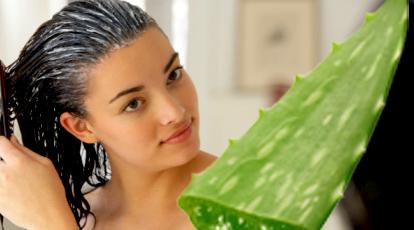 Aloe Vera for Hair