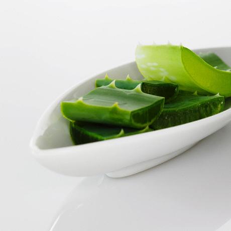 Aloe Vera Health Benefits