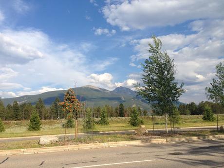 Days 35: Jasper Or Bust