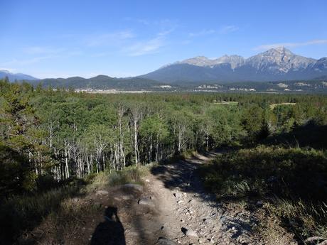 Days 35: Jasper Or Bust