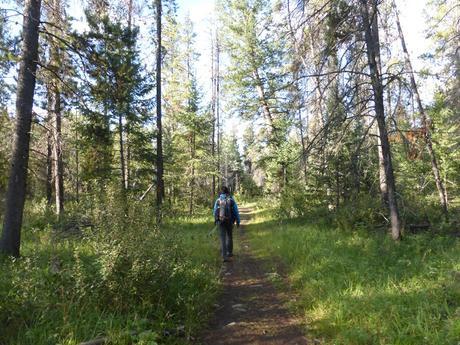 Days 35: Jasper Or Bust