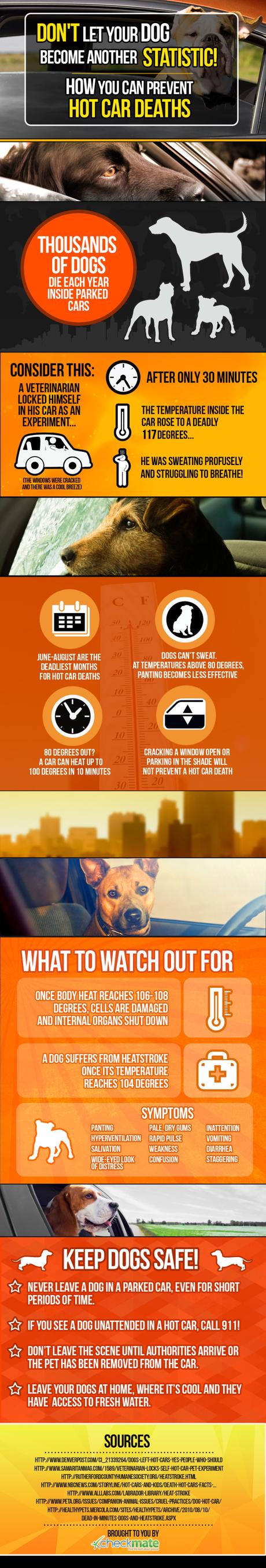 Help Us Prevent Animals From Dying In Hot Cars!