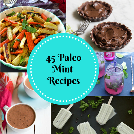 Paleo Mint Recipe Wrap-up