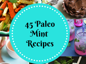 Paleo Mint Recipe Wrap-up