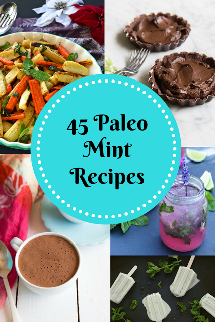 Paleo Mint Recipe Wrap-up