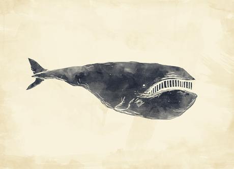 whale-zach-terrell