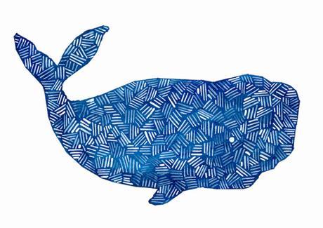 whale-bridget-davison