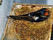 Things Didn’t Know Could Affect Performance Your Gutters