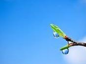 Those Gotcha Planned Parenthood Videos Again: Where There's Novum, Spirit Dead Thinking, Rhetoric, Tactics Anti-Abortion Movement