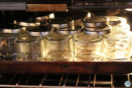 Pineapple & Plum Fruit Butter