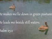 Scripture Photo: Still Waters